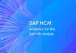 SAP HCM – Effectively Analyze & Use HR Data